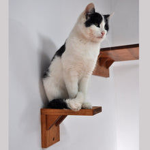 Load image into Gallery viewer, Cat perch, wall mounted