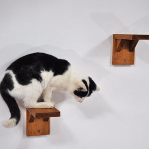 Wall mounted cat furniture