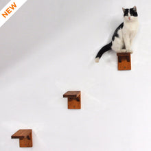 Load image into Gallery viewer, wall steps for cat