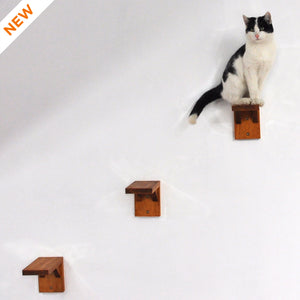 wall steps for cat