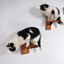 Load image into Gallery viewer, Cat steps, perch