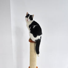 Load image into Gallery viewer, Modular Cat Scratcher