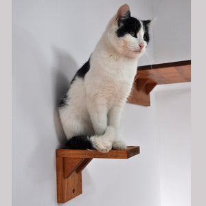 Cat perch, wall mounted